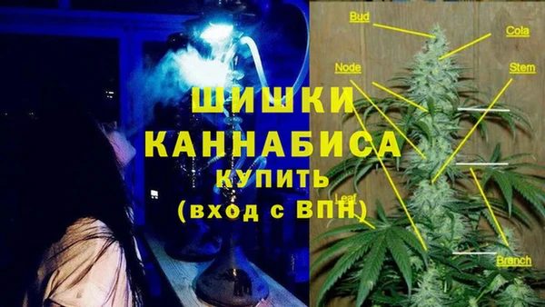 стафф Беломорск