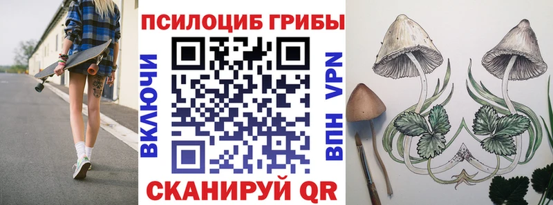 Псилоцибиновые грибы Magic Shrooms  Шилка 
